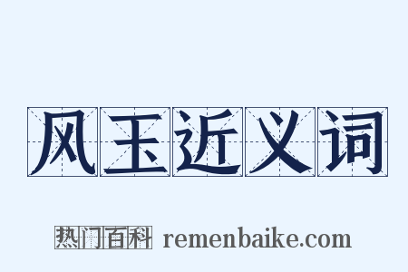 风玉近义词是什么意思的图片